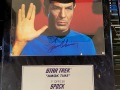 Star-Trek-Spock