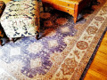 Faded-Persian-Carpet-and-Furniture